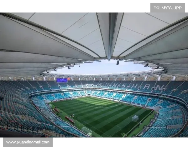 2023至2024年度国际足球A级赛事精彩回顾与未来展望