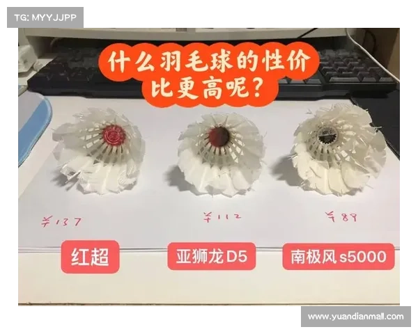 羽毛球哪些赛事用慢球 羽毛球哪些赛事用慢球
